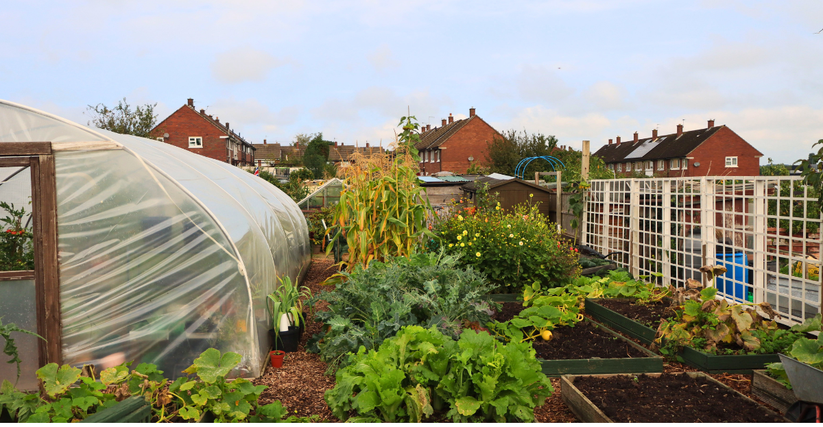 Empty allotment